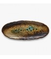 Plato largo WASANSAI SANMA