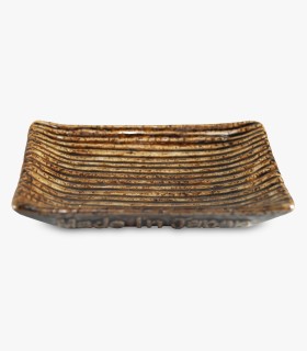 Plato SHINOGI 100 AME