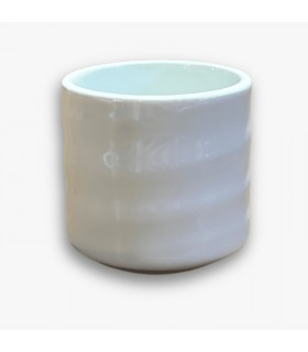 Chupito sake SHIROSHINO