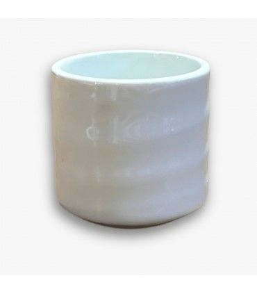 Chupito sake SHIROSHINO