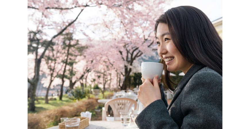 Hanami: flores de cerezo y el arte japonés de contemplar la belleza efímera