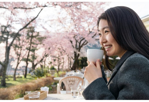 Hanami: flores de cerezo y el arte japonés de contemplar la belleza efímera